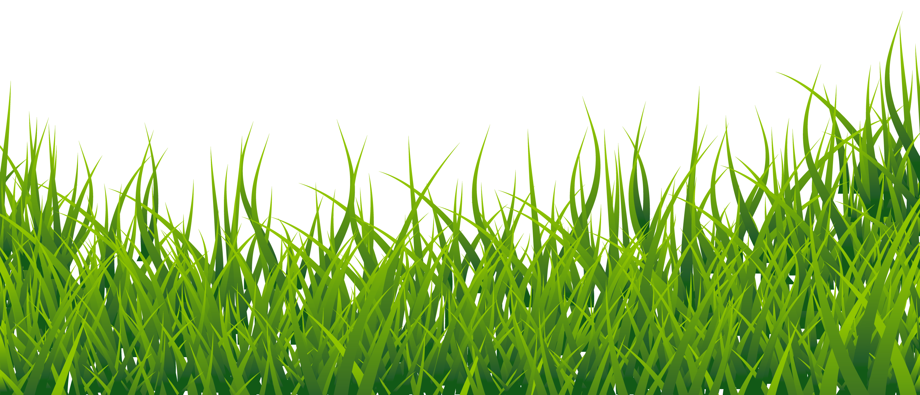 Grüne Gras-Vektor-PNG-Datei