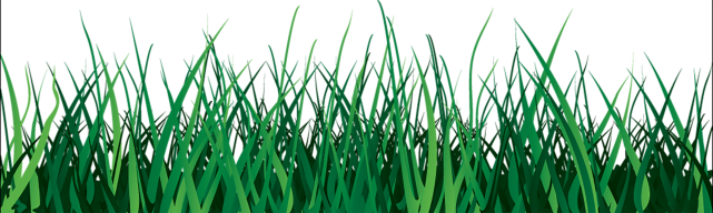 Yeşil Çim Vektör PNG Görüntü