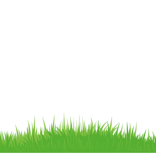 Grüner Grasvektor Transparenter Hintergrund