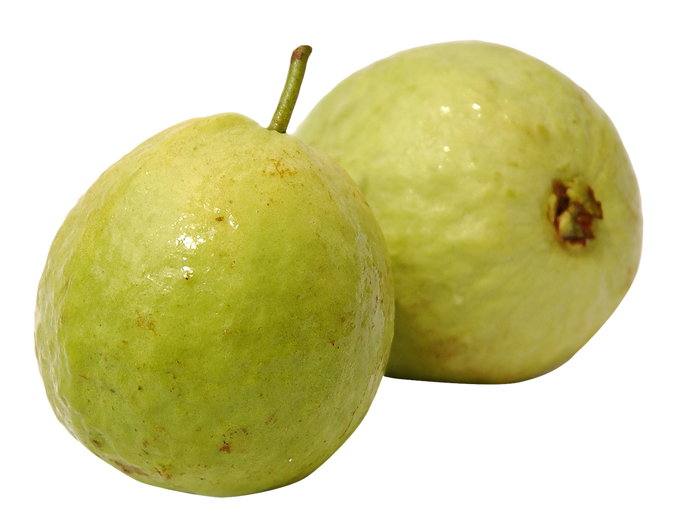Green Guava PNG-Datei