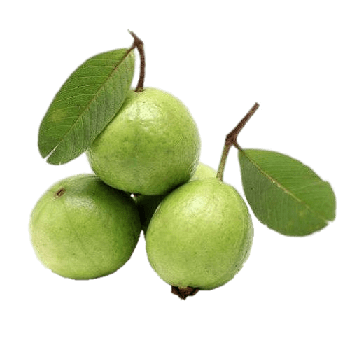 Transparenter Hintergrund der grünen Guave