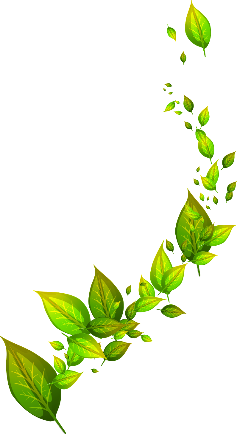 Green Leafs PNG Clipart