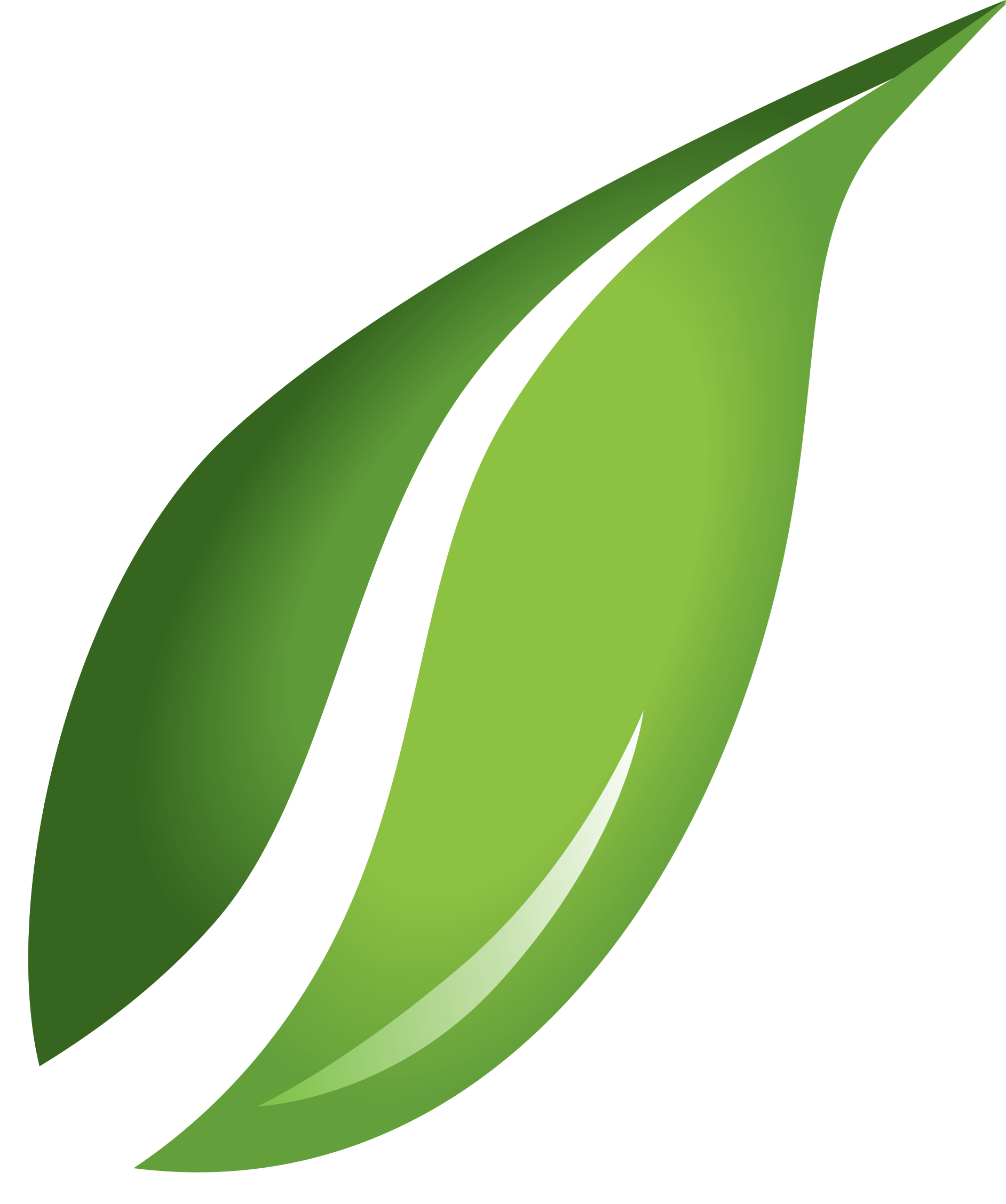Green Leafs PNG File