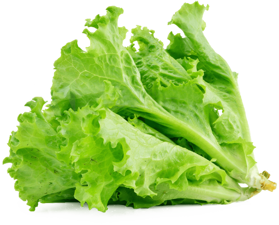 Grüner Salat PNG-transparentes Bild