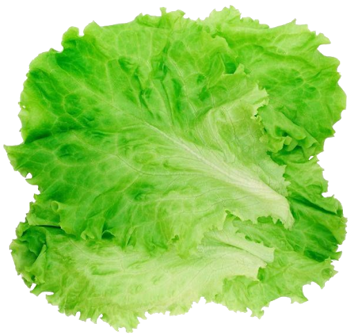 Grüner Salat transparent PNG