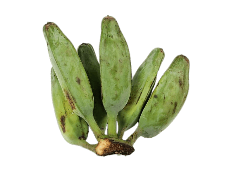 Gambar pisang hijau PNG Transparan