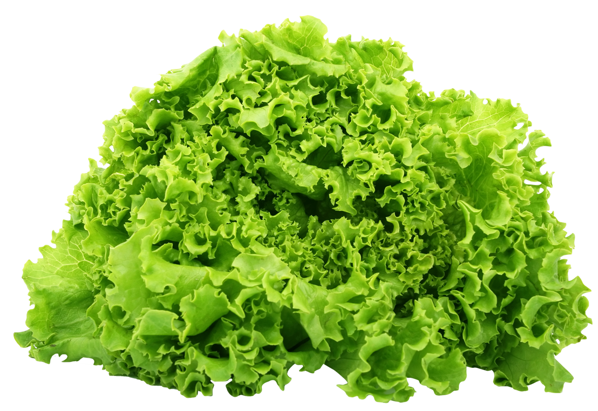 File PNG verde spinaci