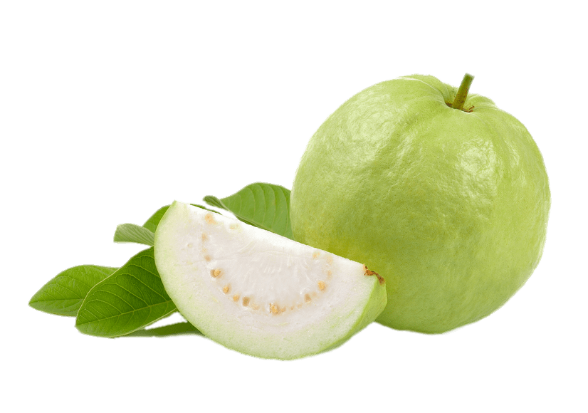 Guava PNG Clipart