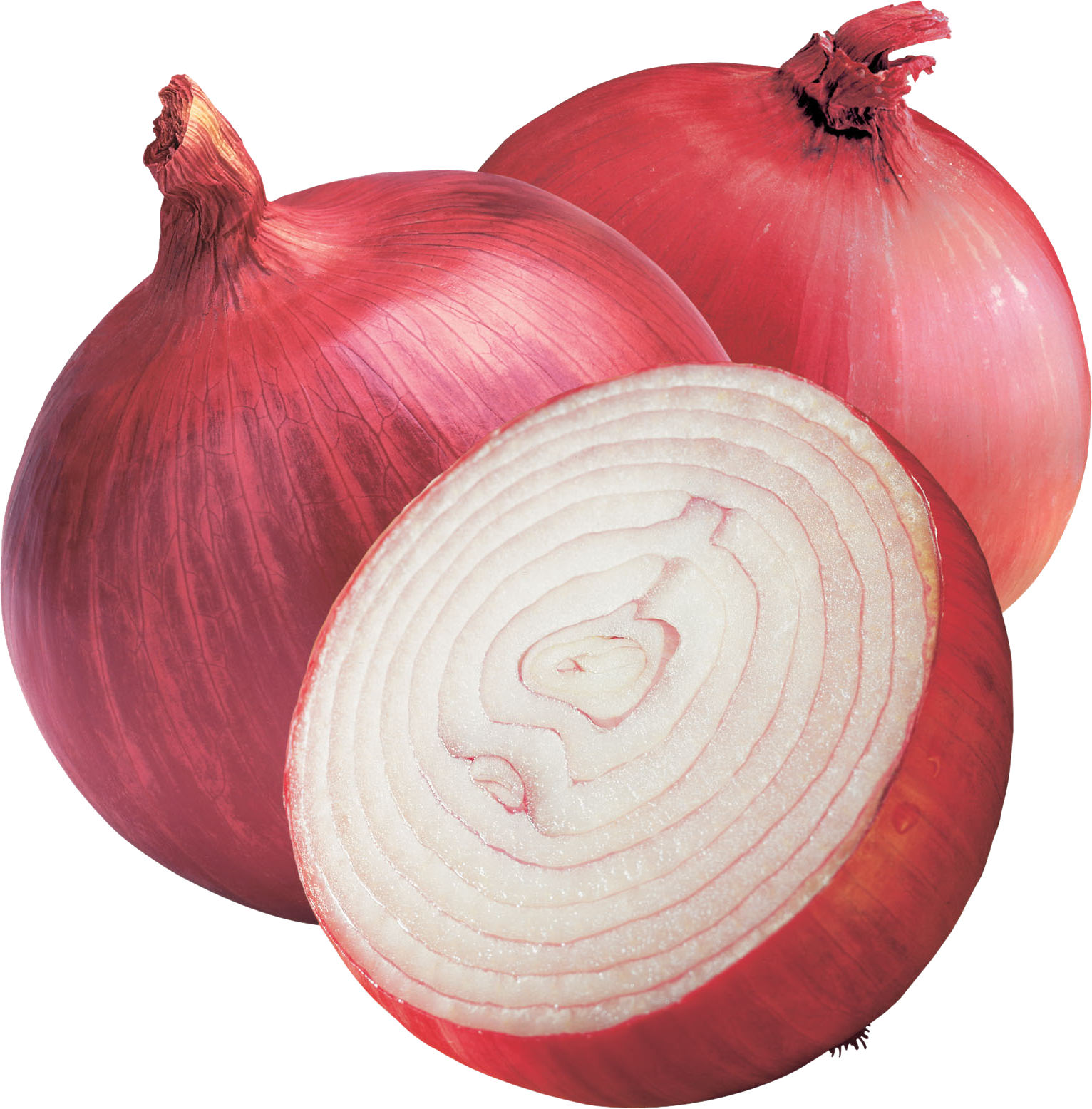 Half Onion PNG Photos