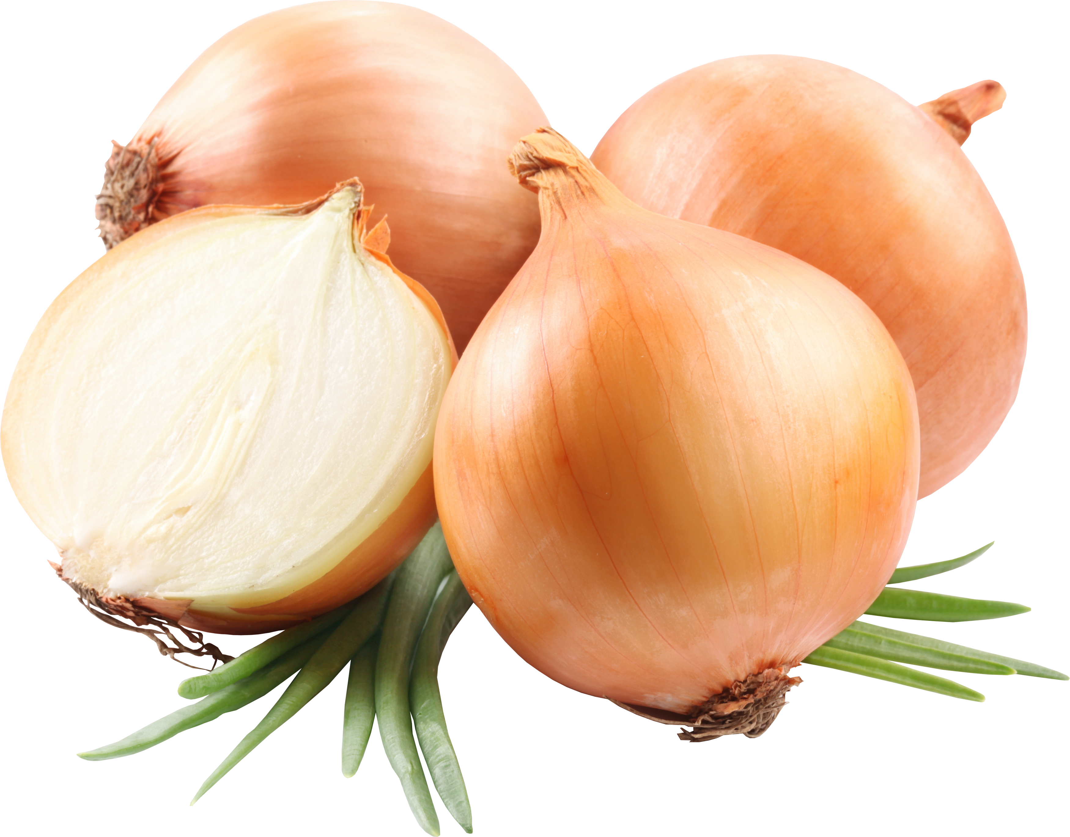 Half Onion PNG Transparent Image