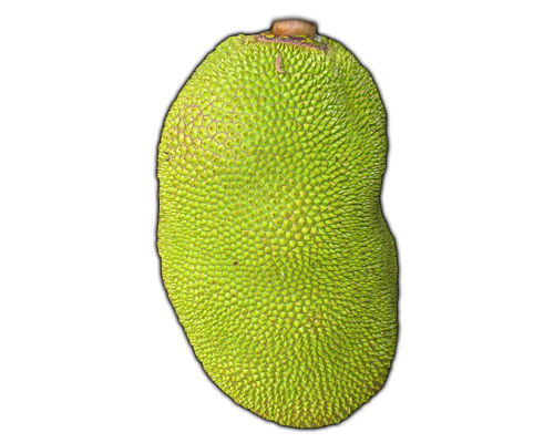 Jackfruit PNG Pic
