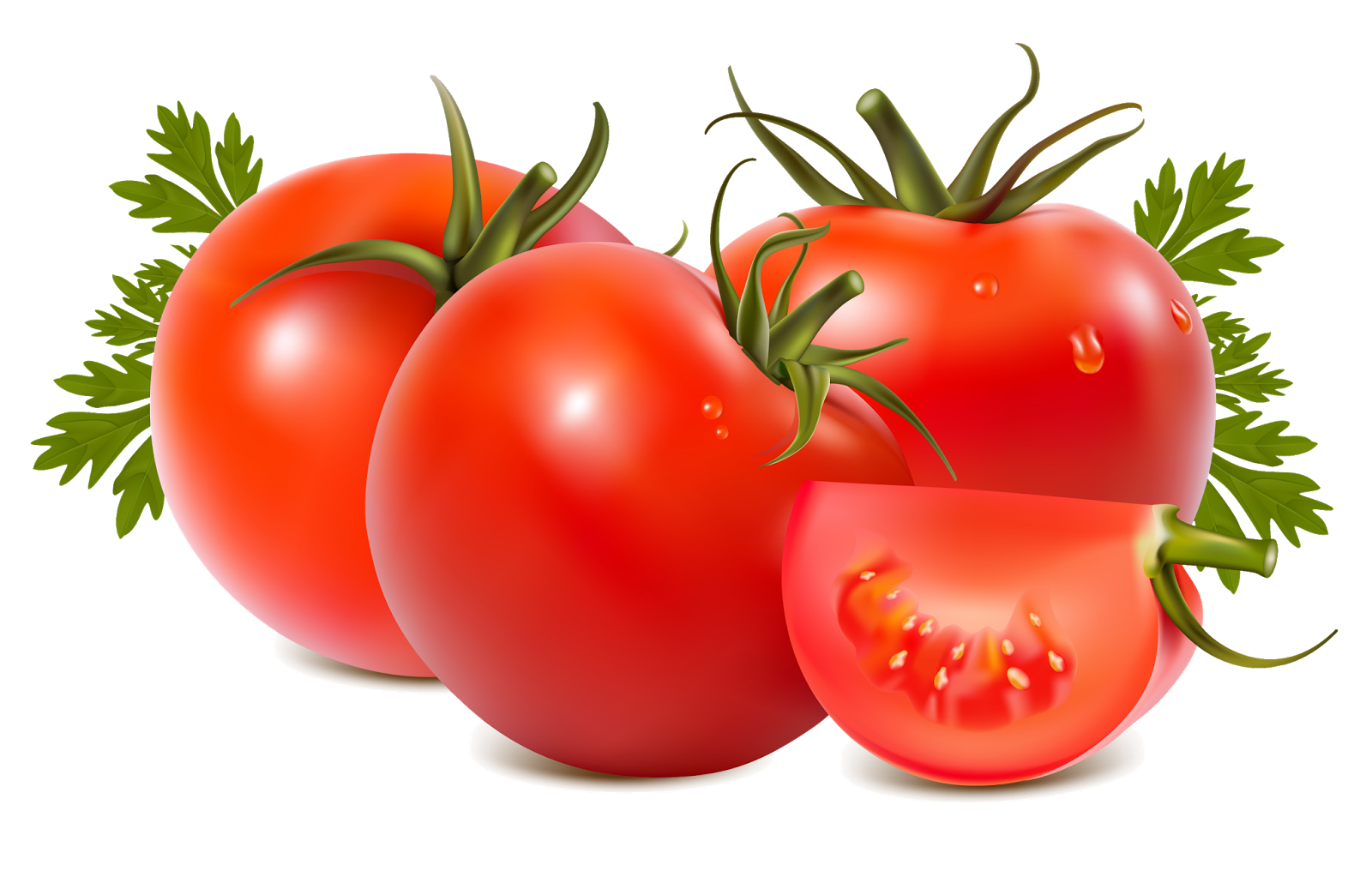 Juicy Fresh Tomatoes Bunch PNG Image