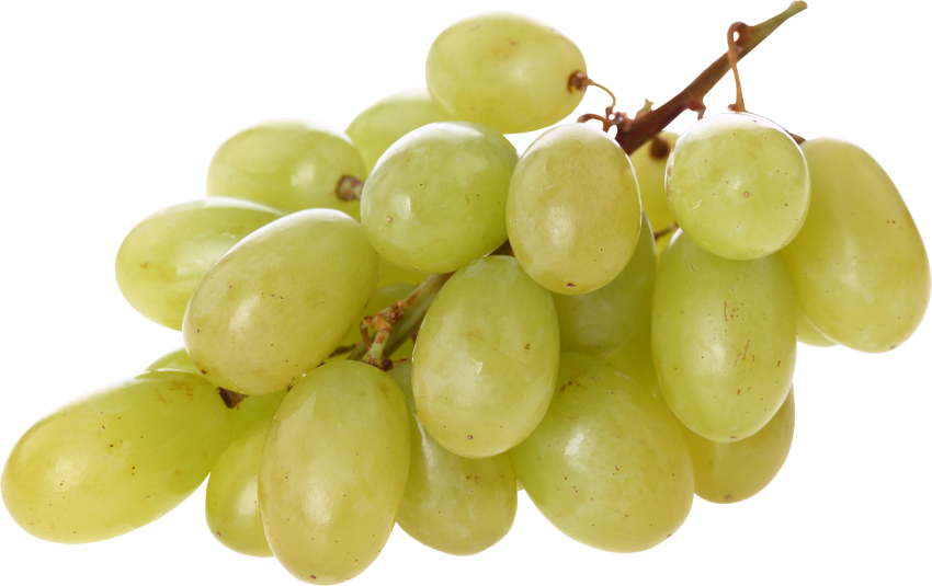Sapvarkene groene druiven Transparant PNG