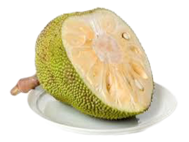 Juicy Jackfruit PNG File
