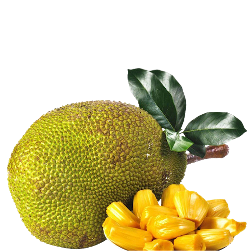 Juicy Jackfruit PNG Pic
