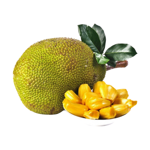 Juicy Jackfruit Transparent PNG