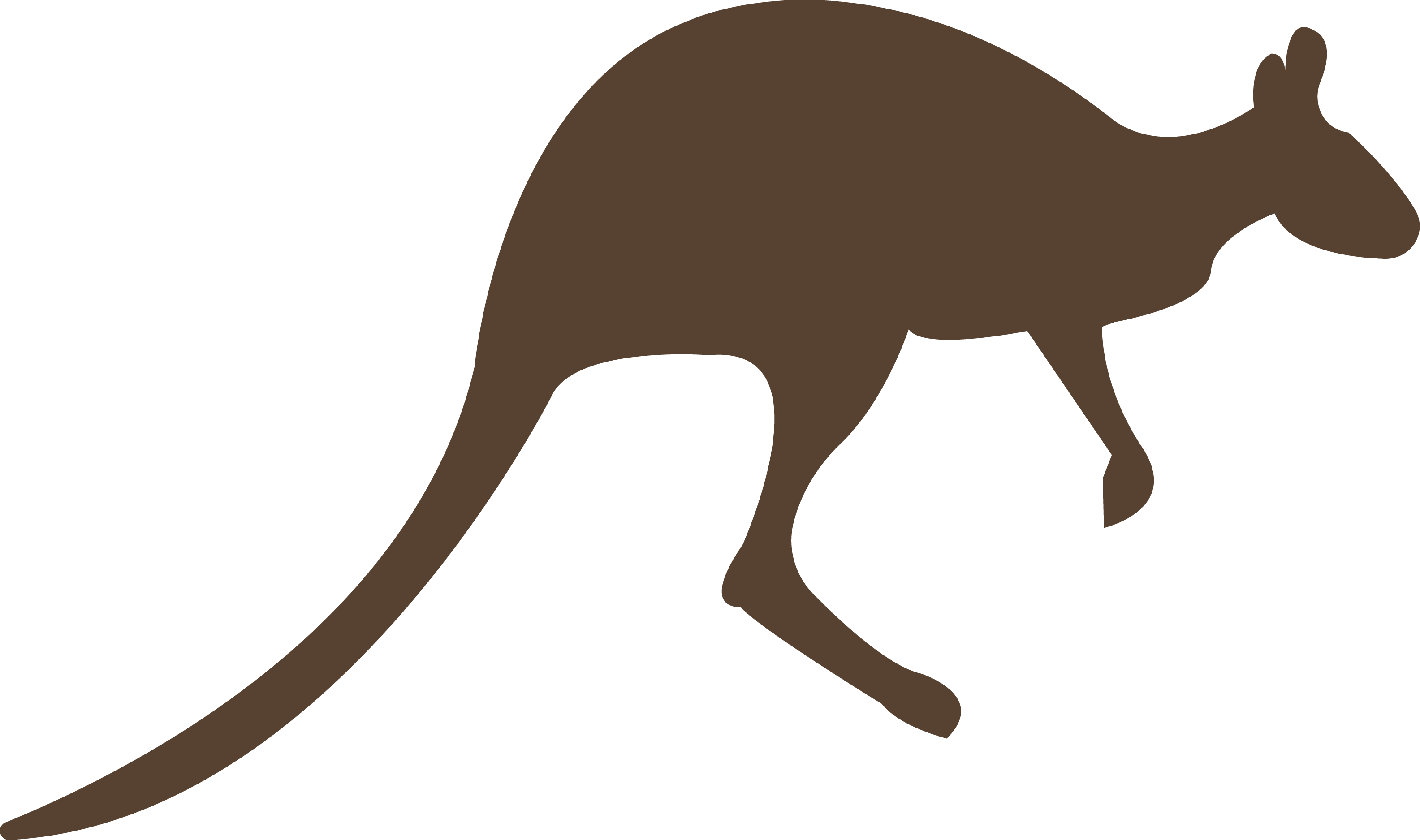 Kanguru PNG Clipart