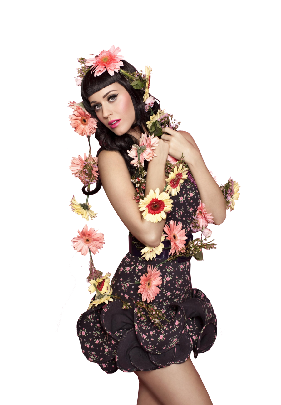 Katy Perry Makeup PNG File