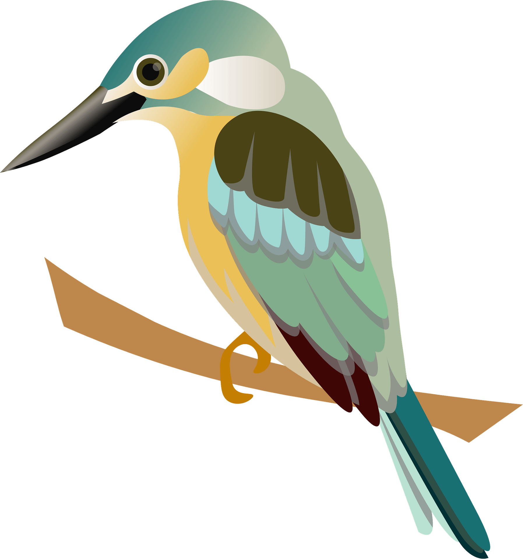 Kingfisher Bird Beak Transparent PNG