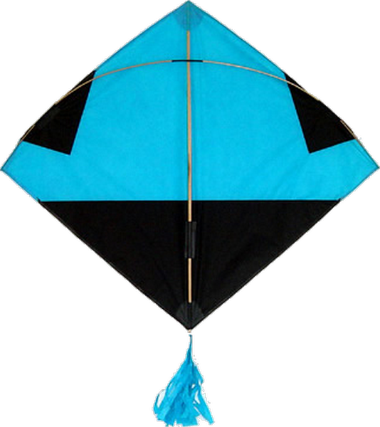 Pgg transparente kite