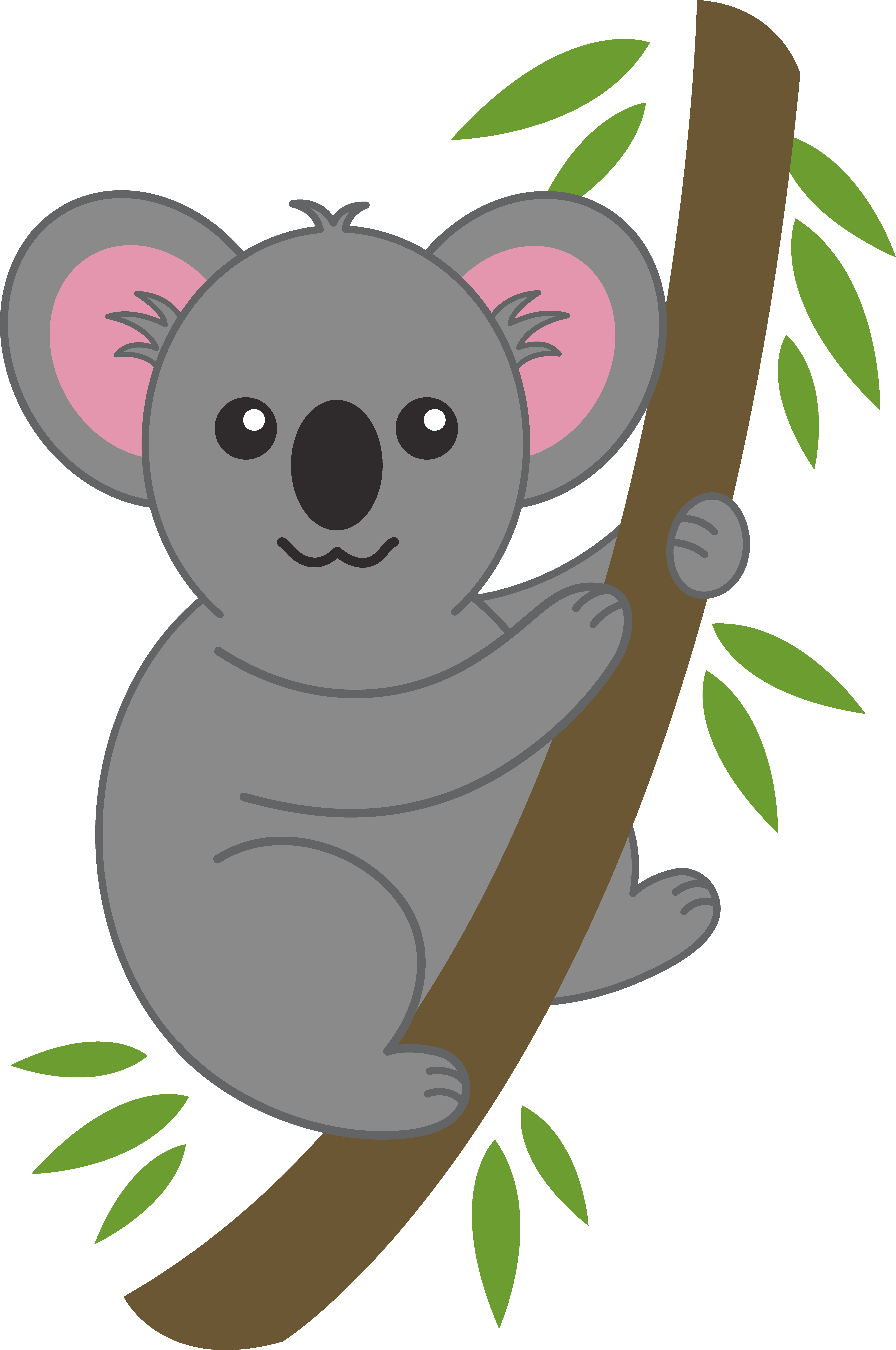 Koala Face PNG Clipart