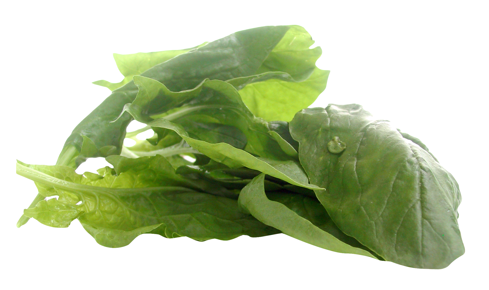 Foglie verde spinaci PNG Clipart