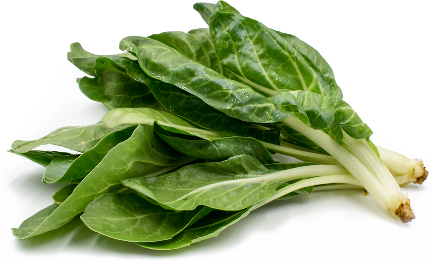 Leaves Green Spinach PNG Photos