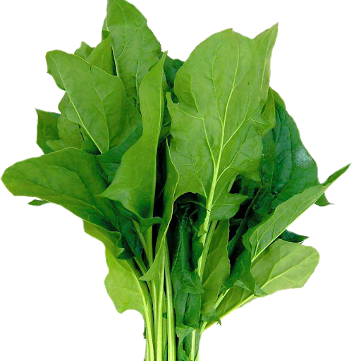 Folhas verde espinafre PNG transparente imagem