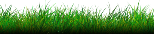 Natural Grass PNG Image
