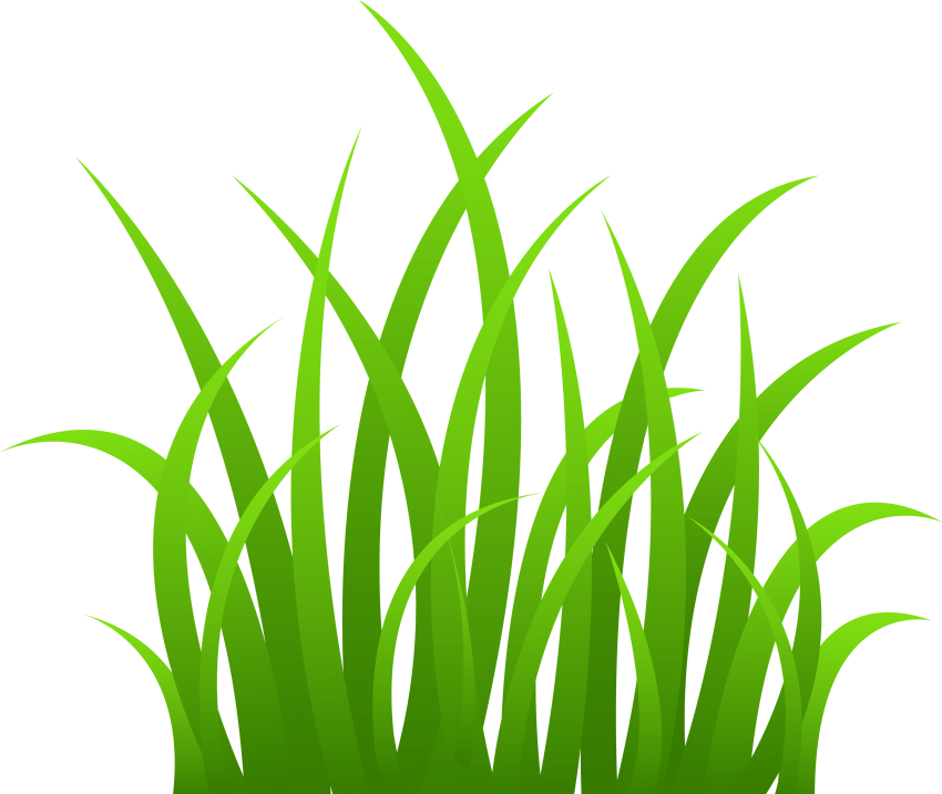 Natural Grass Vector PNG Transparent Image