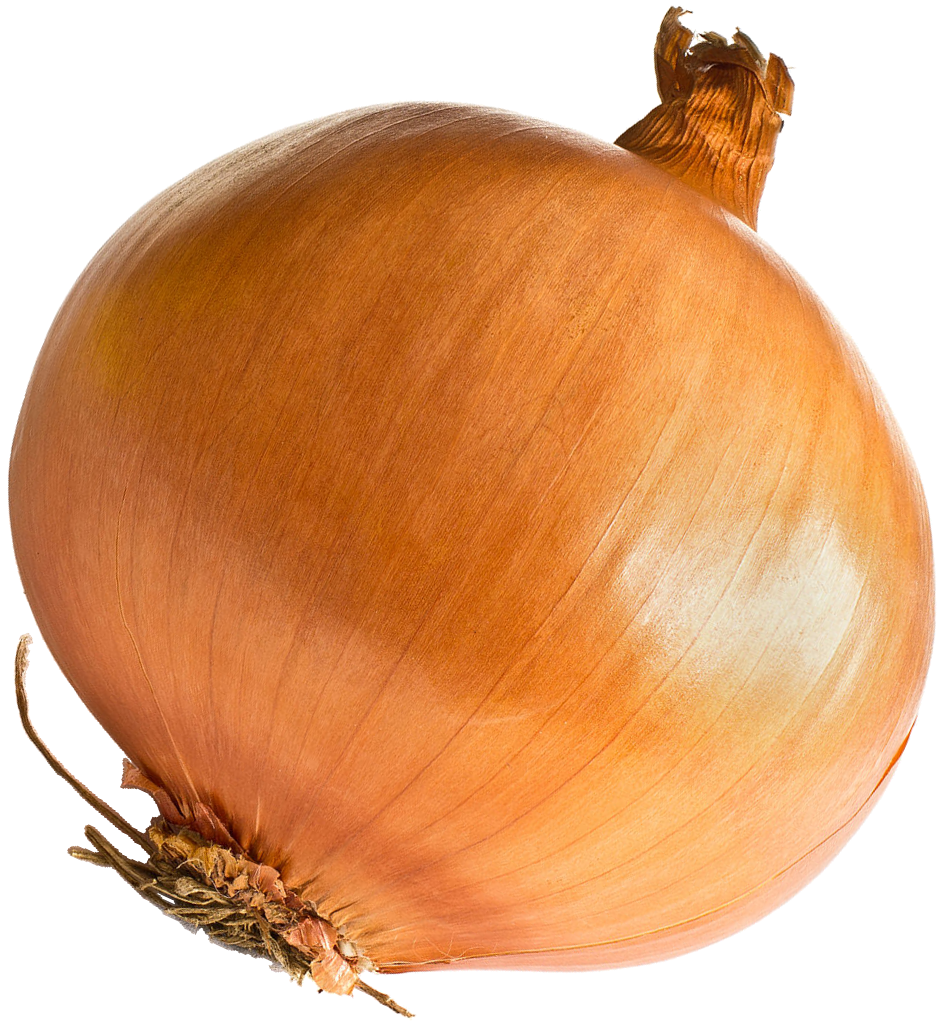 Onion PNG-bestand