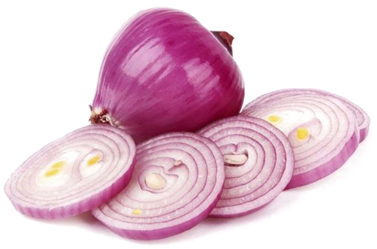 Onion Slice PNG Image