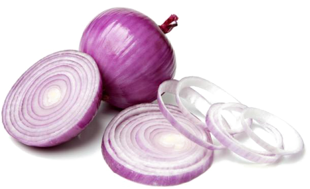 Onion Slice PNG Photos