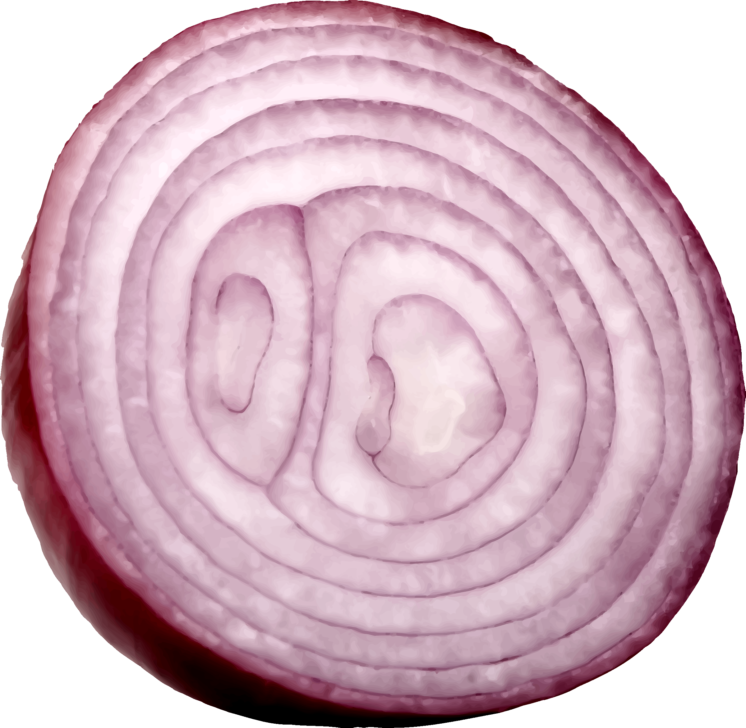 Onion Slice Transparent PNG