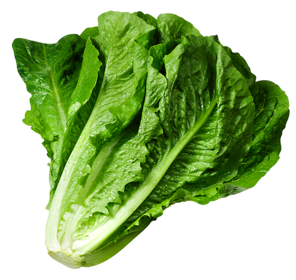 Organic Chinese Spinach PNG Transparent Image
