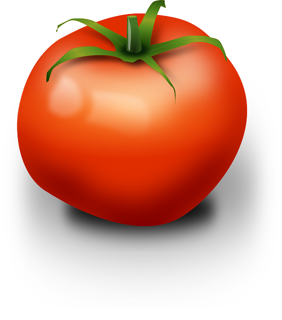 Manojo de tomates frescos orgánicos