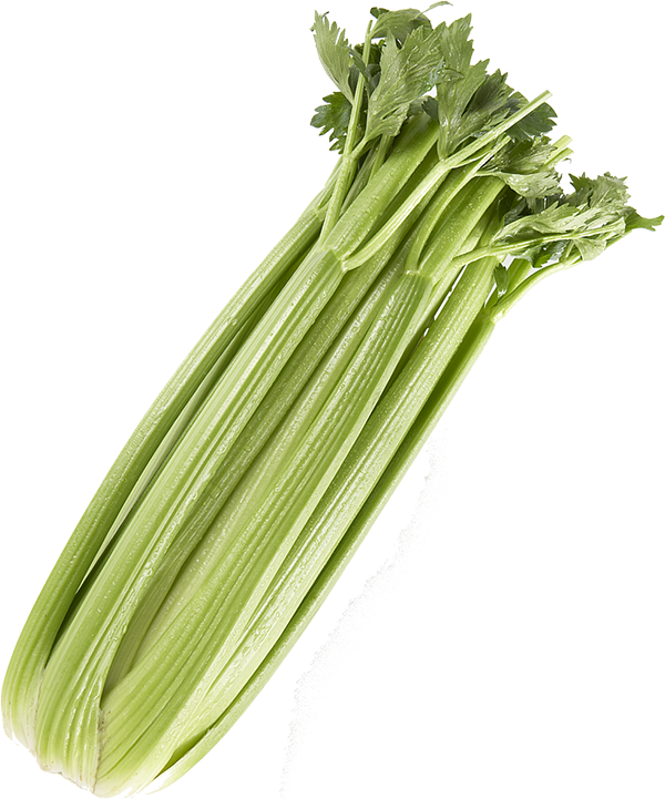 Organic Green Celery PNG Clipart