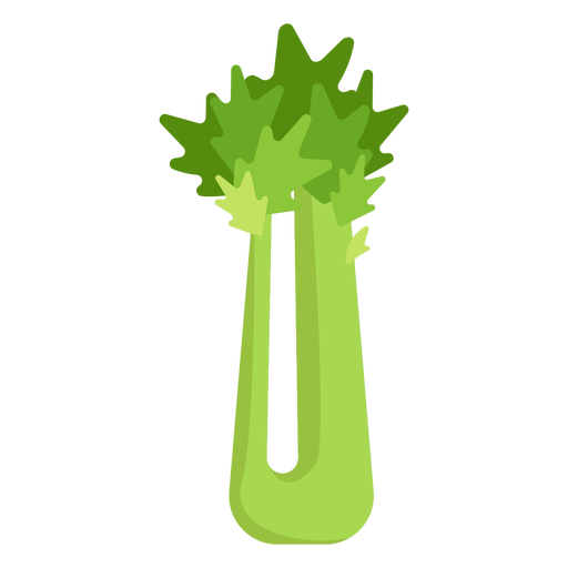 Organic Green celery PNG File
