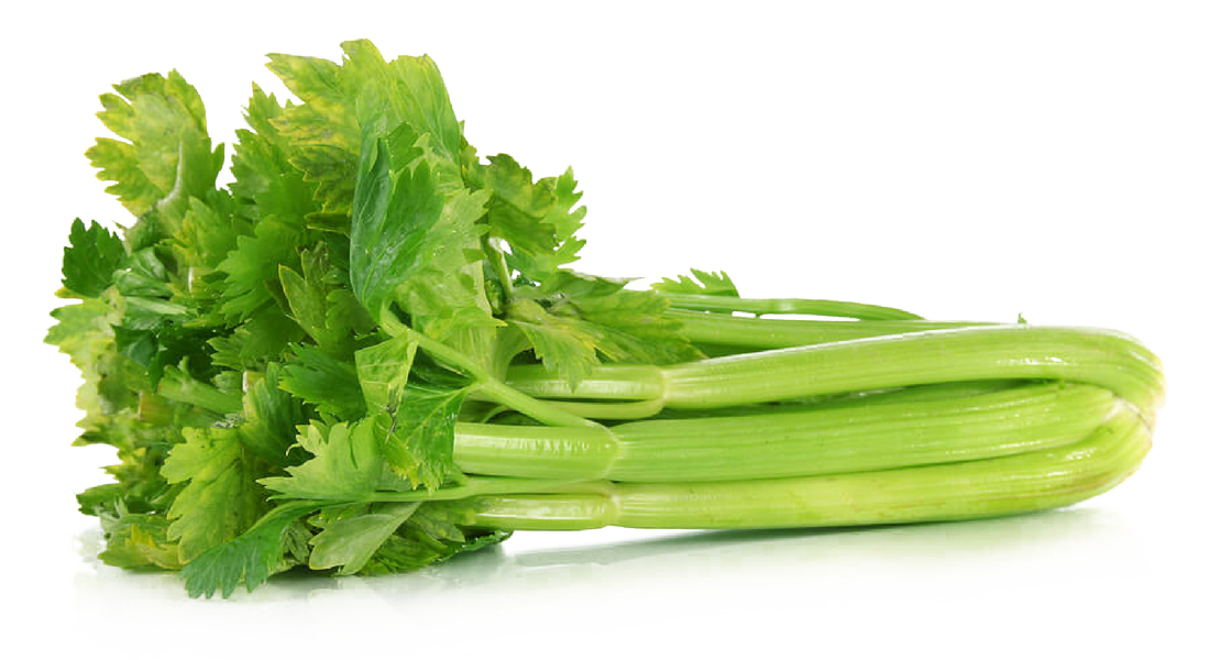 Organic Green Celery Transparent PNG