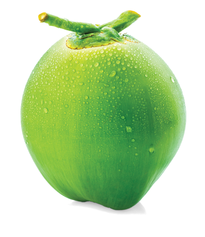 Organic Green Coconut PNG Image