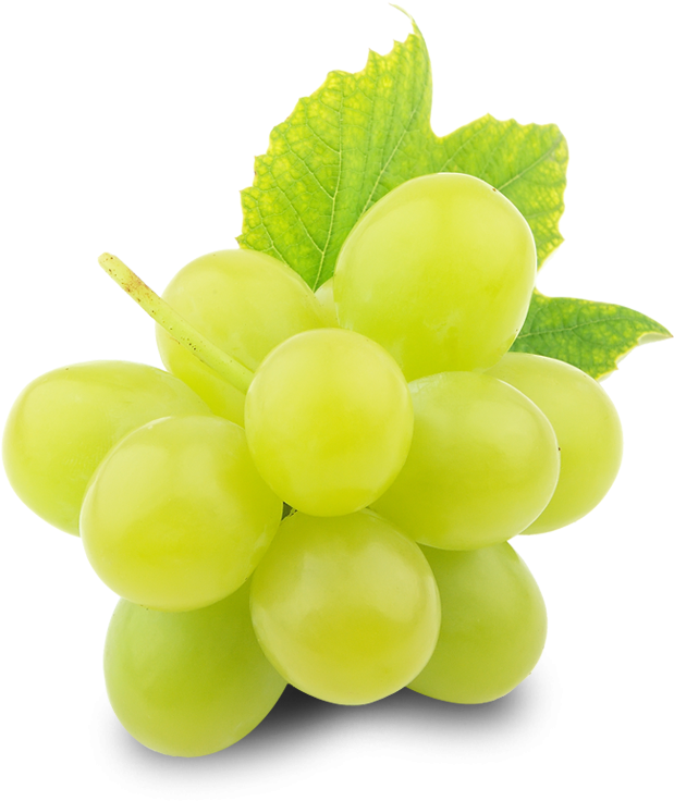 Organische groene druiven PNG-afbeelding