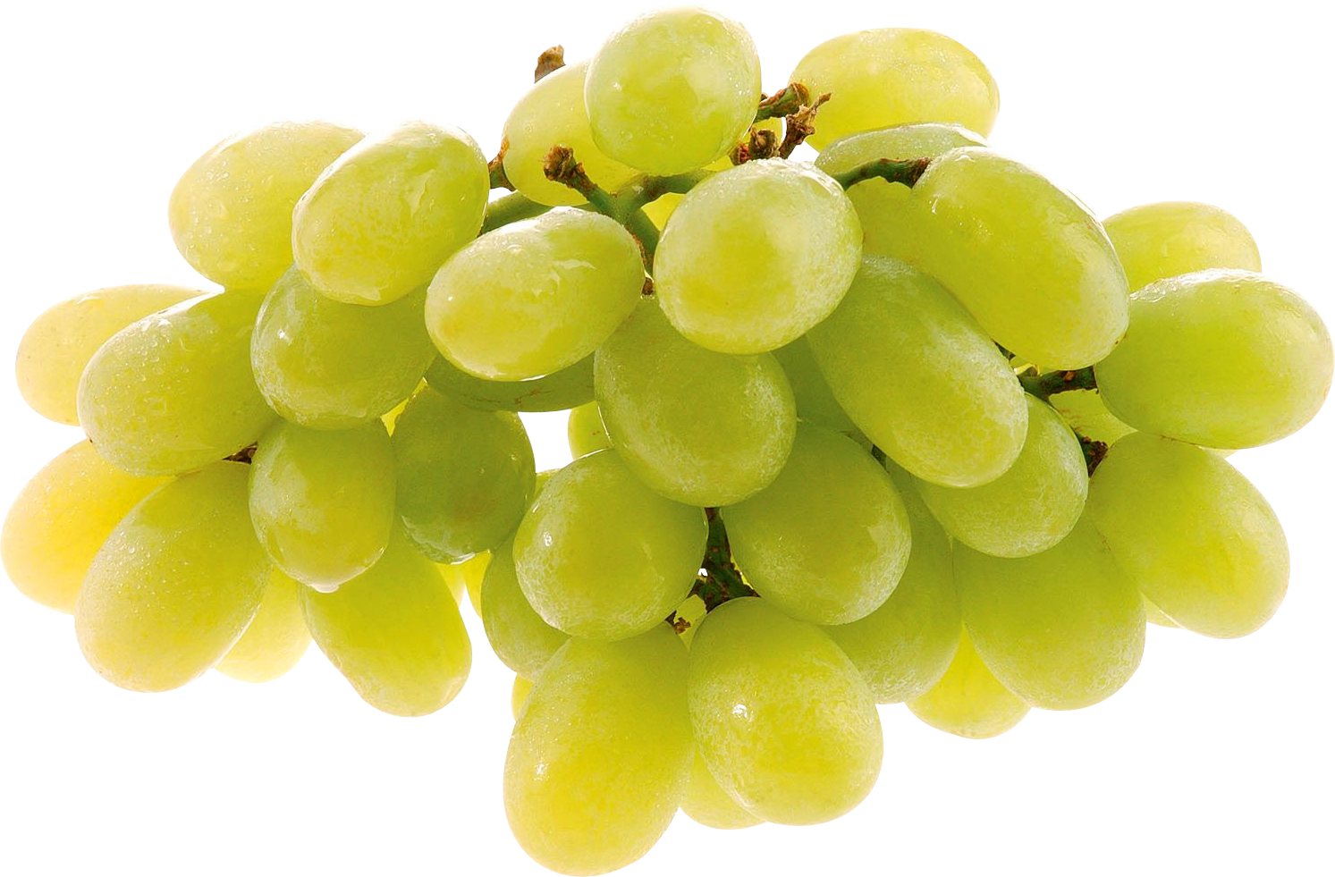 Uvas verdes orgânicas fotos PNG