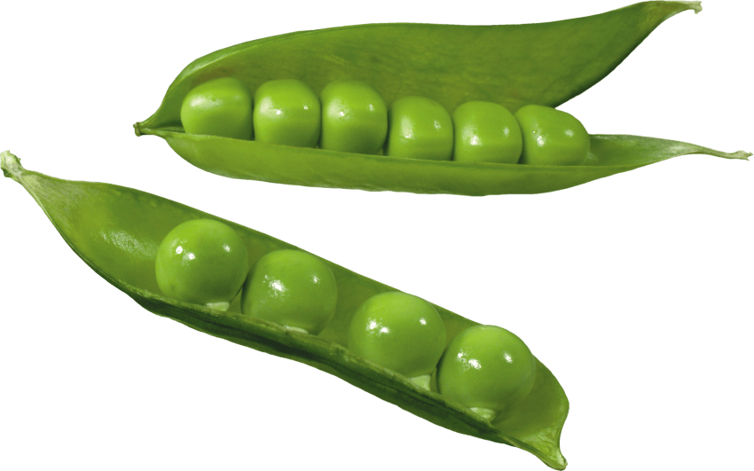 Organic Green Pea PNG Image