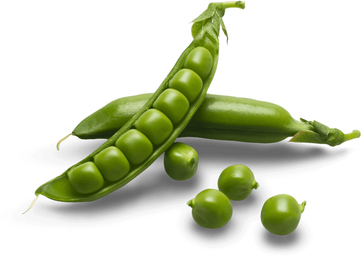 Organic Green Pea PNG Transparent Image