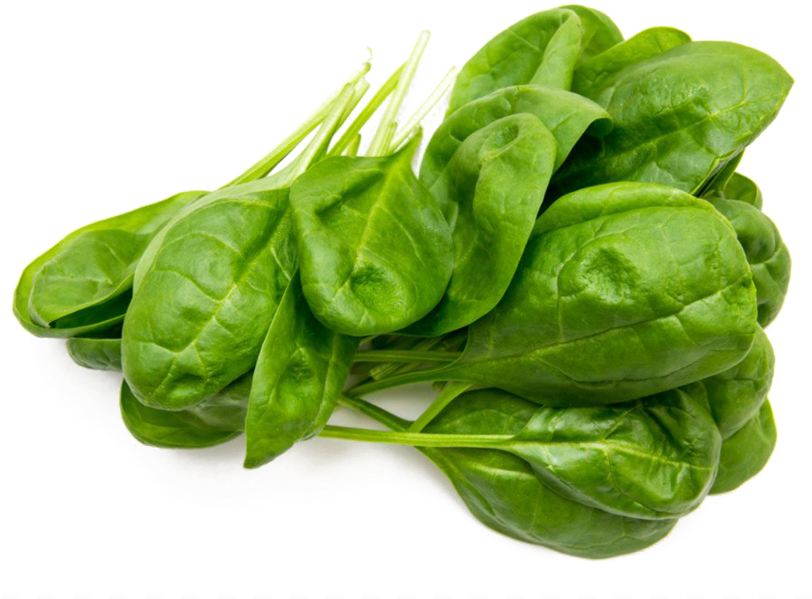 Clipart PNG di spinaci verde organico