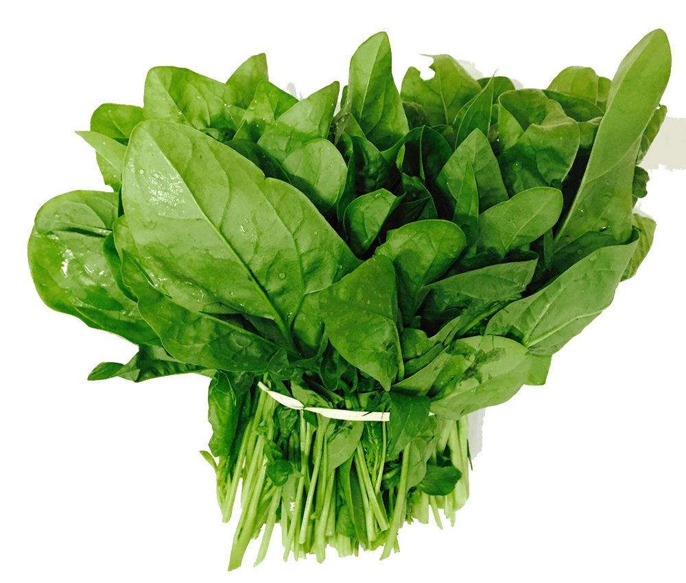 Foto organiche di PNG di spinaci verdi