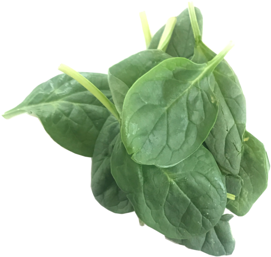 Immagine Trasparente di spinaci verde organica PNG