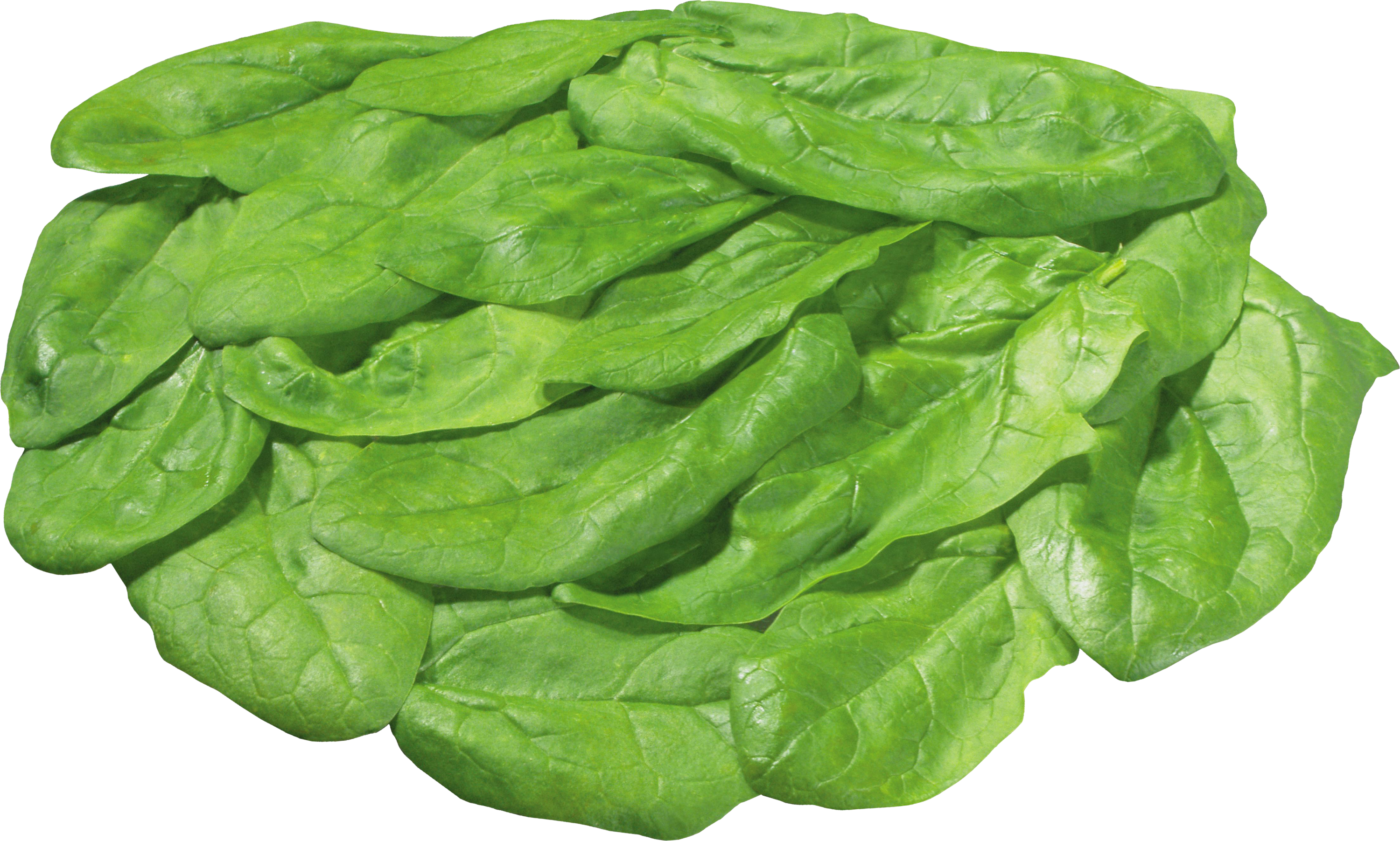 Organic Green Spinach Transparent PNG
