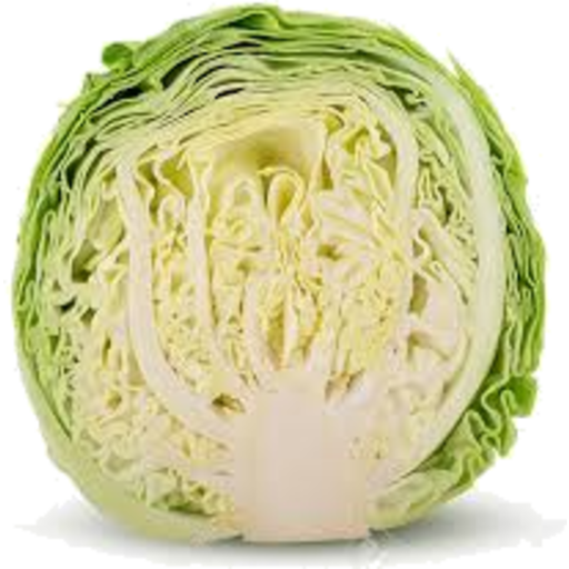 Organic Half Cabbage PNG Photos