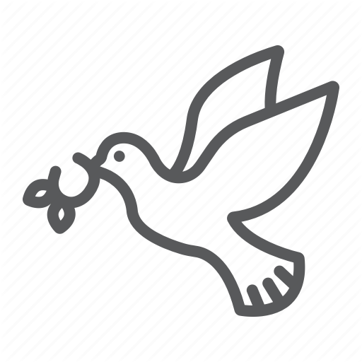 Peace Pigeon PNG Free Download